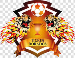 Tigres Dorados Mrci   Poster  HD Png Download