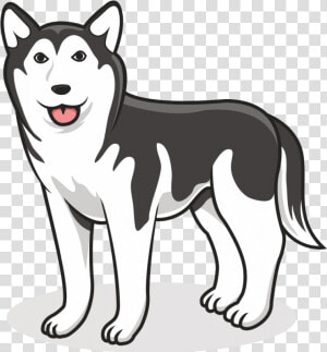 Siberian Husky Vector Png  Transparent Png