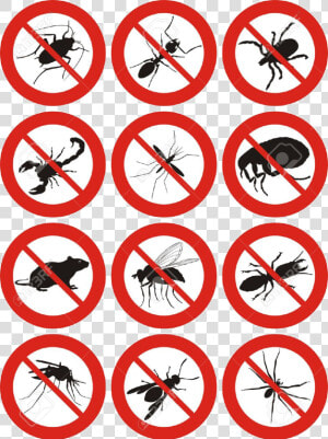 Pest Control Icon Free  HD Png Download