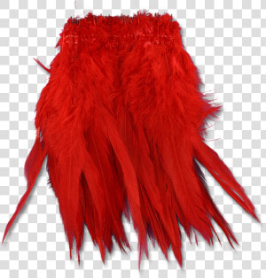 Super Strung Webby Saddle Hackle  HD Png Download