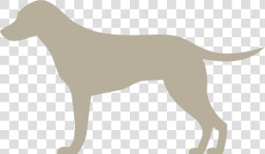 Narumed Hund   Hund Png  Transparent Png