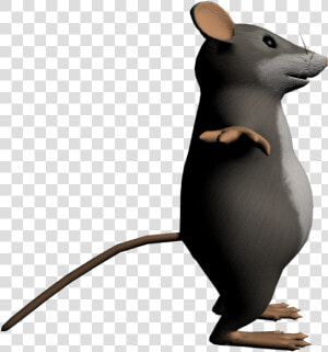 Transparent Cartoon Rat Png   Cartoon Rat Transparent Background  Png Download