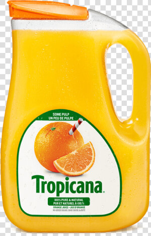 Tropicana® 100   Pure Orange Juice   Tropicana  HD Png Download