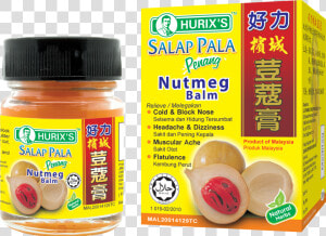 Transparent Nutmeg Clipart   Hurixs Salap Pala Penang  HD Png Download