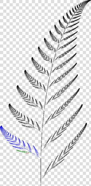 Barnsley Fern Funktion3  HD Png Download