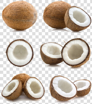 Coconut Png Free Download   Coconut Peel  Transparent Png