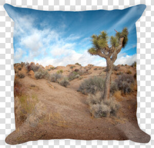 Image Of Joshua Tree  Ca  HD Png Download