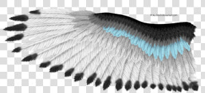 Eagle Wings Png   White Feather Texture Eagle  Transparent Png