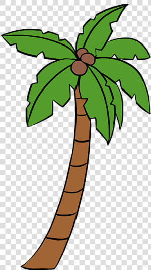 How To Draw A Palm Tree   Cartoon Palm Tree Drawing  HD Png Download