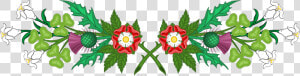 Tudor Rose  HD Png Download