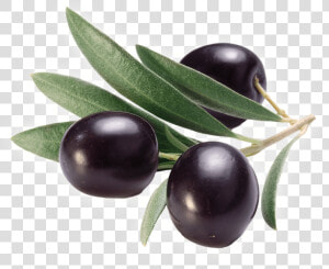 Olive Clipart Jamun Fruit   Olive  HD Png Download