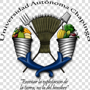 Thumb Image   Logo Universidad Autonoma Chapingo Png  Transparent Png