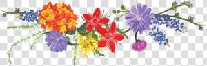 Texas Wildflower Vodka   Wildflowers Clipart Free  HD Png Download