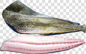 Mahi Mahi Fillet Data Rimg Lazy Data Rimg Scale  HD Png Download