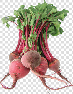 Beet Png   Fresh Beetroot  Transparent Png