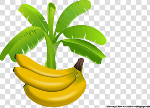 Leaves Vector Banana Tree   Banana Leaf Logo Png  Transparent Png