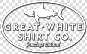 Great White Shirt Co   Great White Shark  HD Png Download