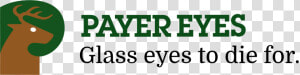 Payer Eyes   Oval  HD Png Download