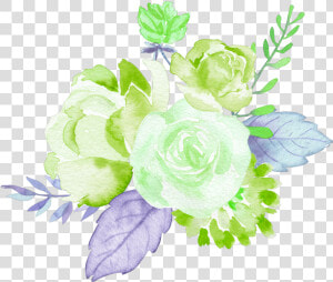 Transparent Watercolor Roses Png   Garden Roses  Png Download