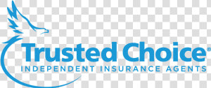 Horizontal Light Blue On Transparent   Trusted Choice  HD Png Download