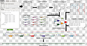 Asimov Genetic Circuit  HD Png Download