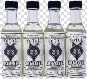 Sotol Coyote 38  Alc 50ml 4 Pack   Glass Bottle  HD Png Download