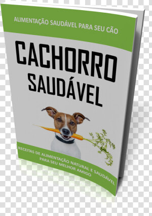 E book Cachorro Saudavel   Alimentação Natural Cachorro Saudável  HD Png Download