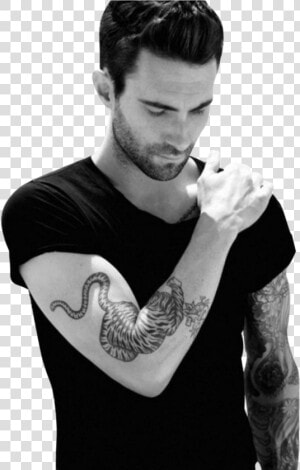 Adam Levine   Png Download   Traditional Tiger Arm Tattoo  Transparent Png