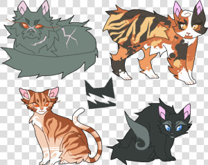 Medicine Clipart Transparent Tumblr   Warrior Cat In Thunder Clan  HD Png Download