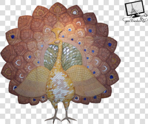 Download Peacock Png Transparent Images Transparent   Peafowl  Png Download