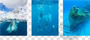 Transparent Caribbean Clipart   Underwater  HD Png Download