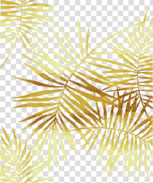 Gold Palm Leaves Png   Golden Palm Leaves Png  Transparent Png