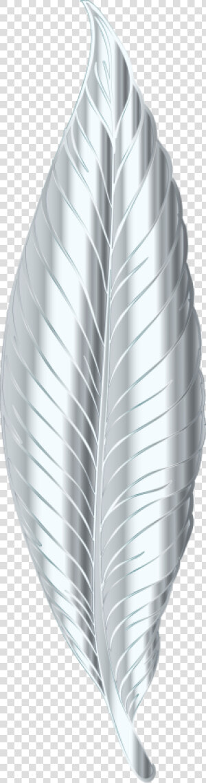 Silver Feather Clip Arts   Silver Feather Png  Transparent Png