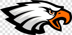 Hawk Clipart Lively   Live Oak High School Logo  HD Png Download