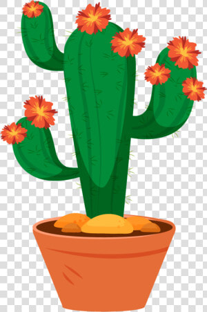 Large flowered Cactus  HD Png Download