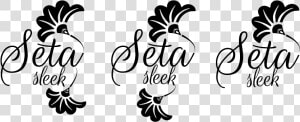 Seta Png  Transparent Png