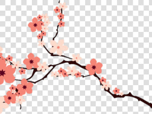 Transparent Cherry Blossom Clipart   Cherry Blossom Vector Png  Png Download