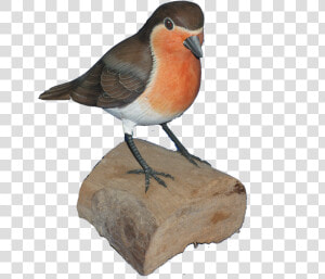 Transparent Robin Bird Png   European Robin  Png Download