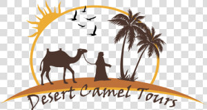 Moroccan Camel Cliparts   Camel Desert Logo  HD Png Download