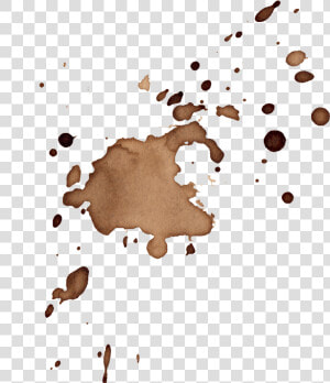 16 Coffee Stains Splatter Vol   Coffee Stains Png Transparent  Png Download