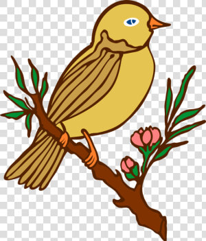 Lovebird Goose Cockatiel Poetry   Bird On Tree Branch Silhouette  HD Png Download