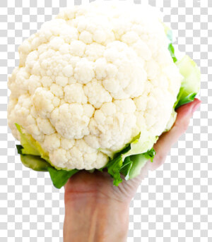 White Cauliflower Png Photo   Cauliflower  Transparent Png