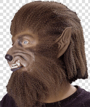 Werewolf Ears  HD Png Download