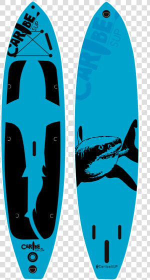 Paddle Board Png   Surfboard  Transparent Png