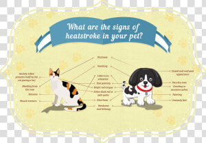 What Are The Signs Of Heatstroke In Your Pet   Heat Stroke Animals  HD Png Download