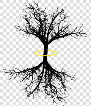 Tree Of Life Png   Coniferous Tree Long Roots  Transparent Png