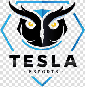 Tesla E sportslogo Square  HD Png Download