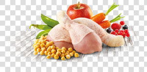 Pienso Natural Para Perros Con Pollo Fresco Trueinstinct   Dog Food  HD Png Download