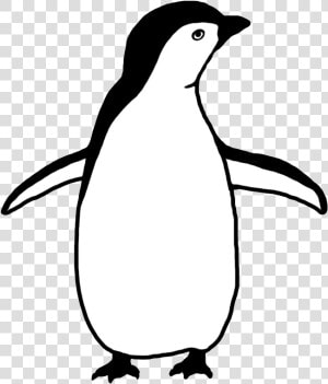 Penguin Silhouette   Penguin Clipart Black And White  HD Png Download