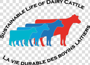 Cows Png  Transparent Png